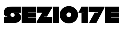 sezione17